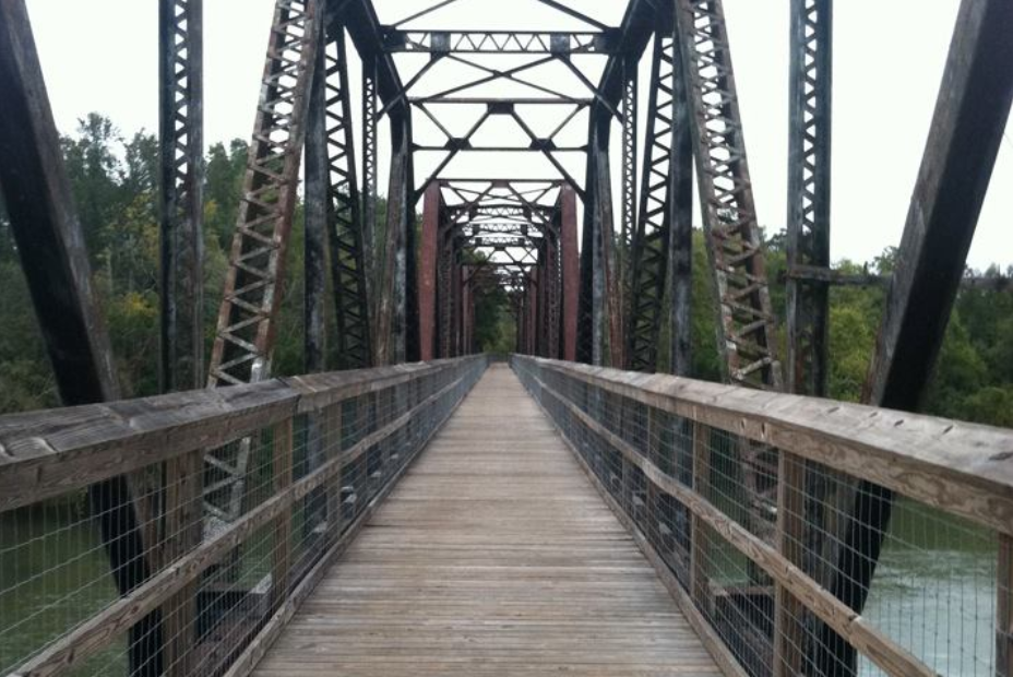 palmetto trail